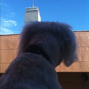 Meet your Posher, Mariana